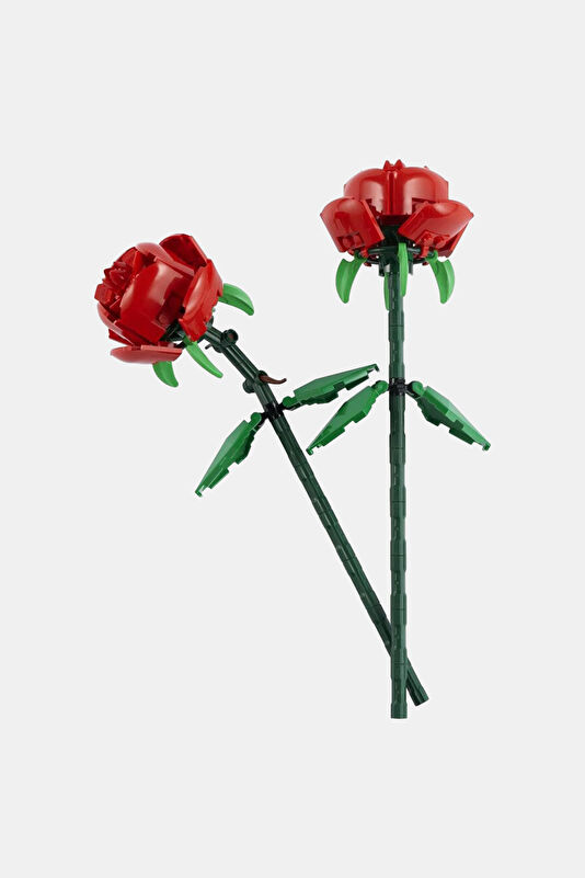 Vakkorama1 Vakkorama1