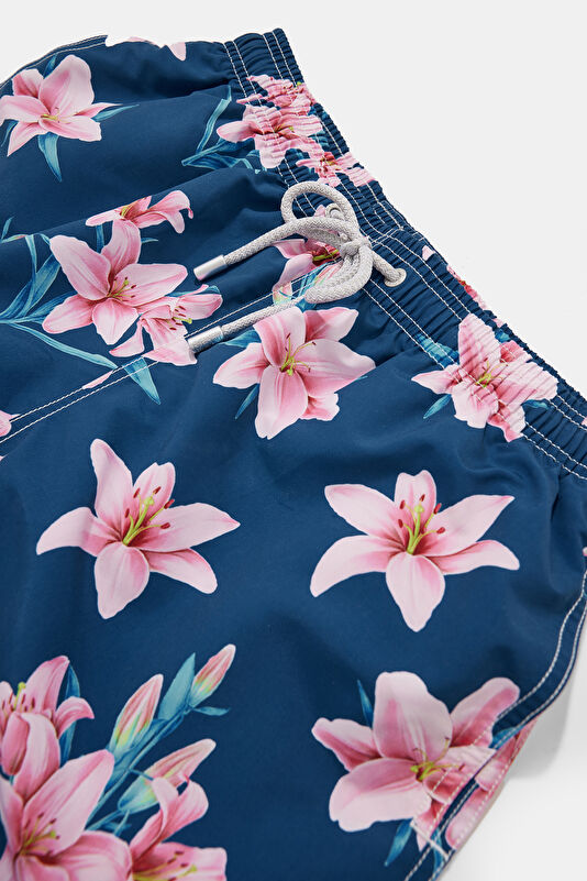 Vakkorama3 Vakkorama3