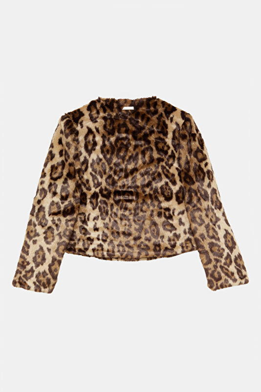 Vakkorama2 Vakkorama2