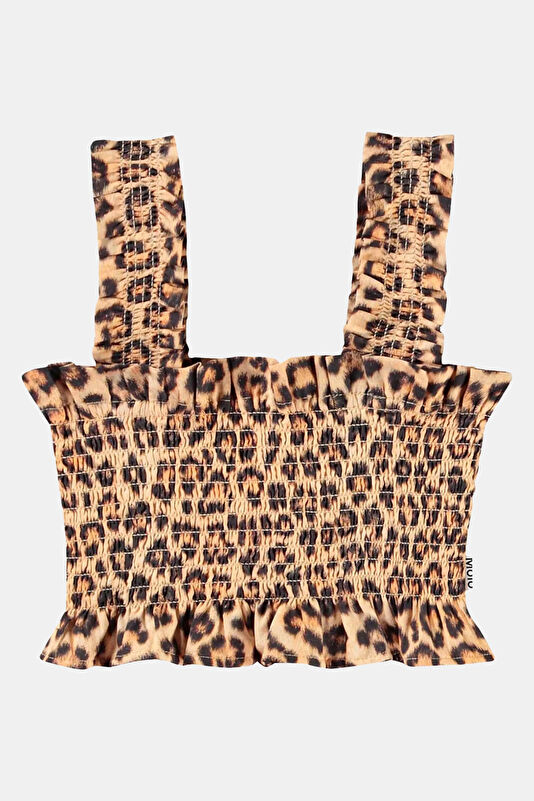 Vakkorama1 Vakkorama1