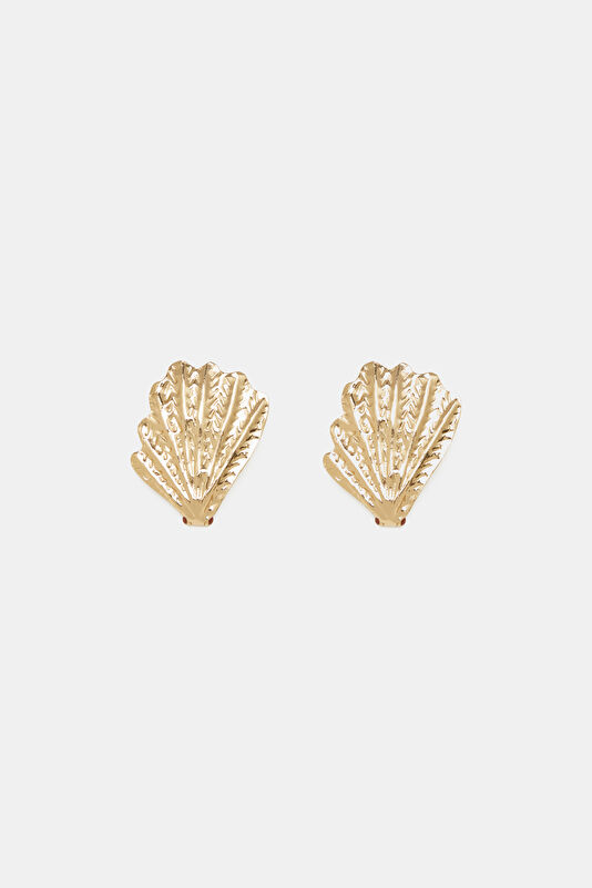 Steel Earrings