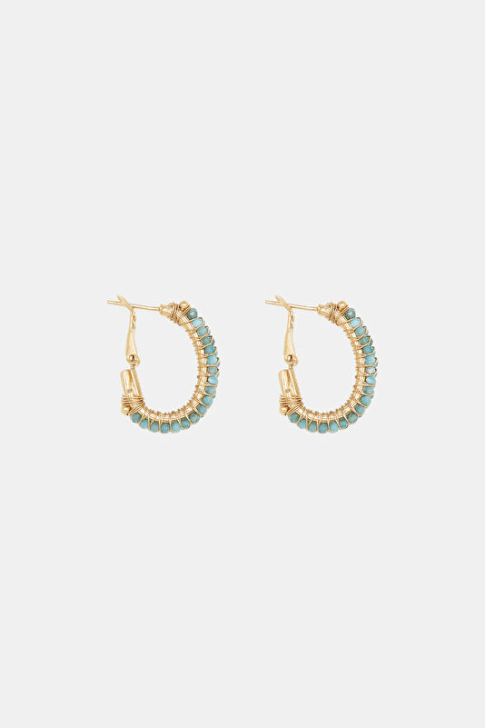 Steel Earrings