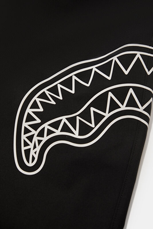 Vakkorama4 Vakkorama4