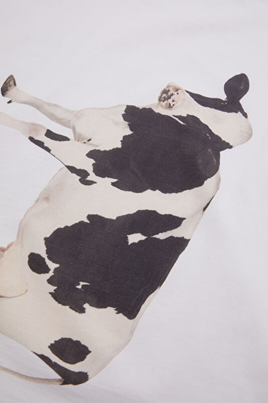 Vakkorama4 Vakkorama4