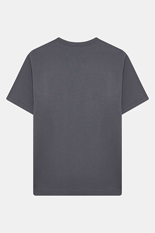 Relax Kalıp Antrasit Bisiklet Yaka Erkek T-Shirt 2