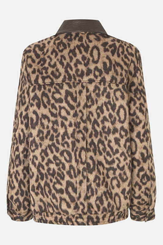 Vakkorama2 Vakkorama2