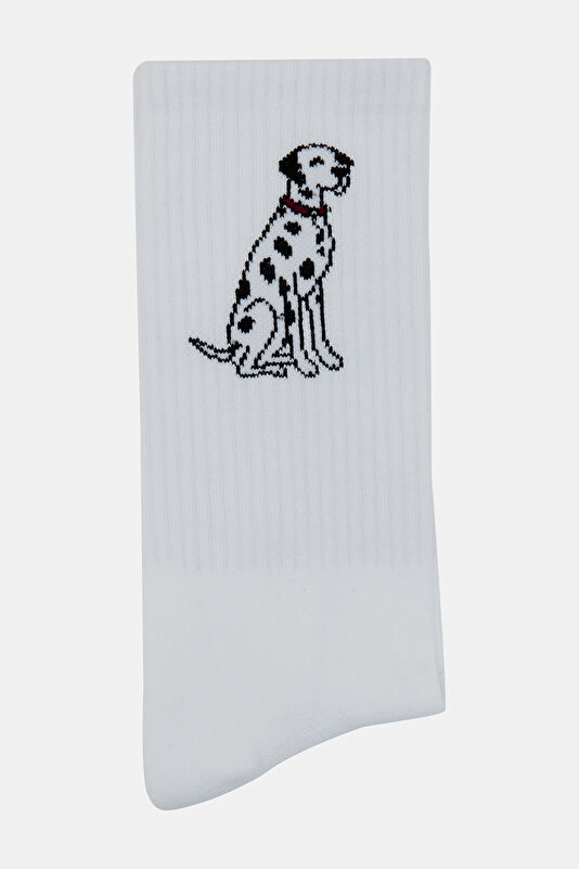 Vakkorama1 Vakkorama1