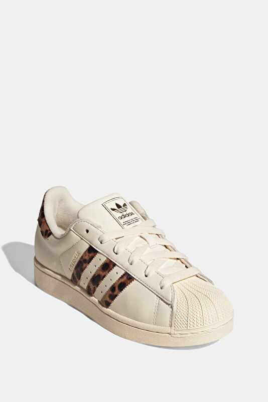 Vakkorama2 Vakkorama2