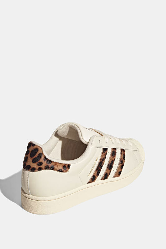 Vakkorama3 Vakkorama3