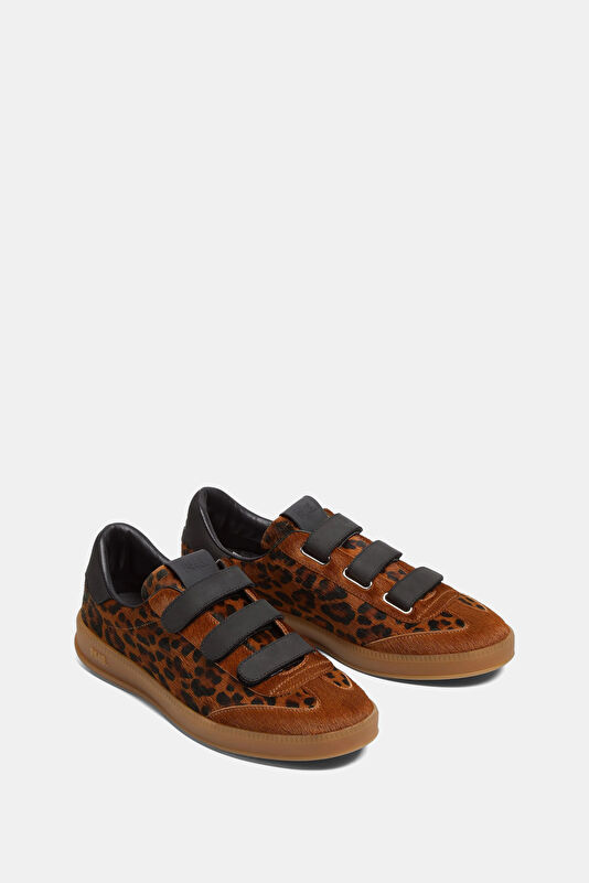 Vakkorama2 Vakkorama2