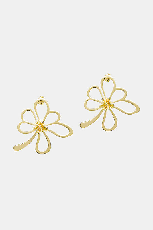 Vakkorama1 Vakkorama1