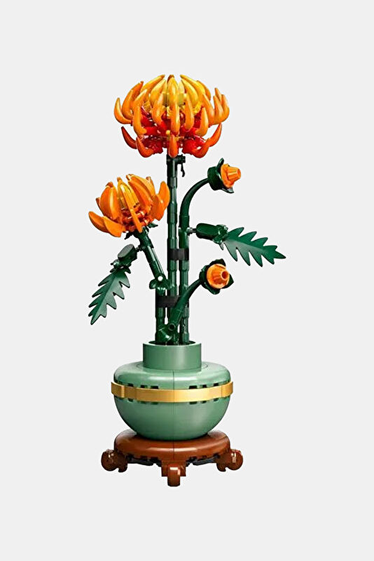 Vakkorama2 Vakkorama2