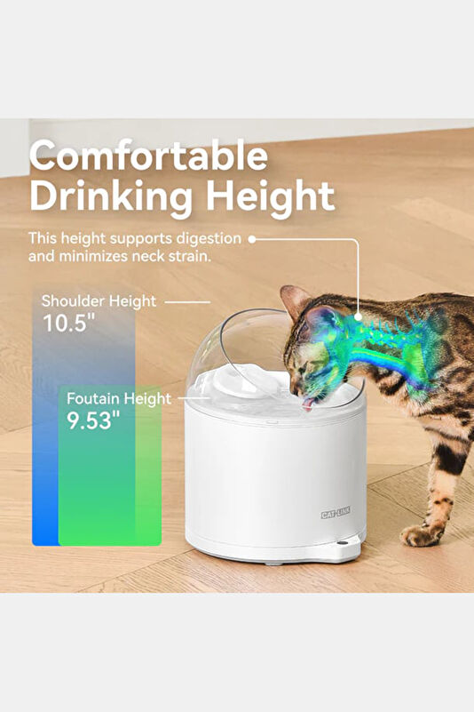 Vakkorama2 Vakkorama2