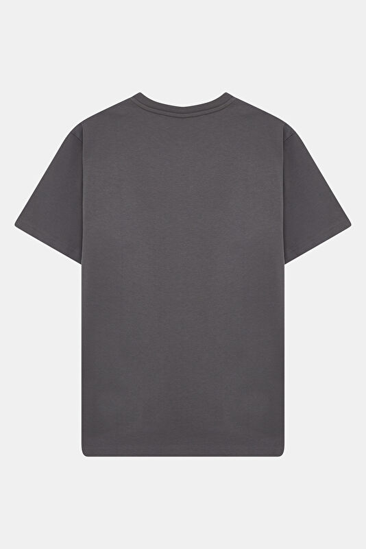 Gray Crew Neck Printed Men's T-Shirt 2