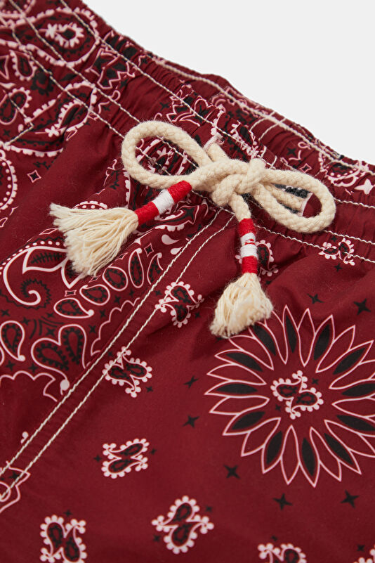 Caprese Bandanna Pattern Men's Burgundy Swimsuit 3