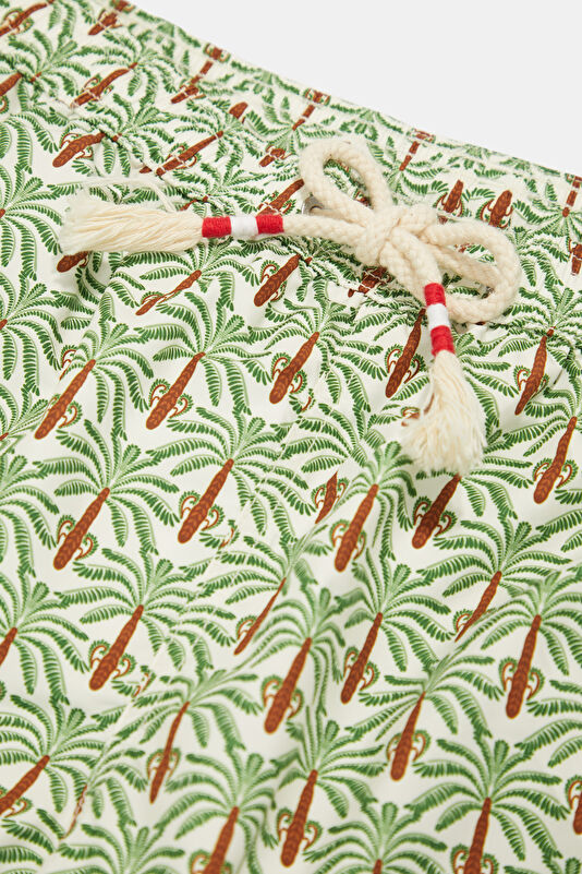 Lighting 70 Palm Pattern Men's Light Green Swimsuit 3