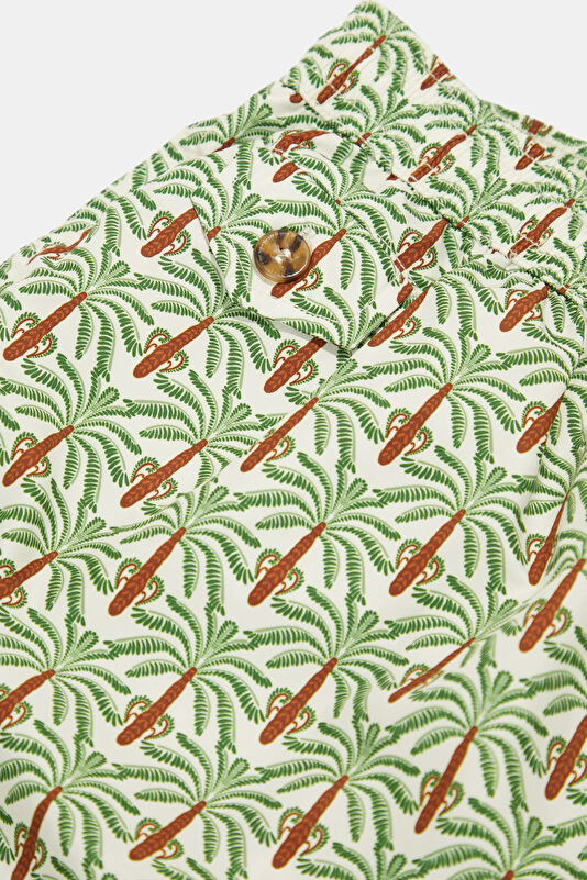 Lighting 70 Palm Pattern Men's Light Green Swimsuit 4