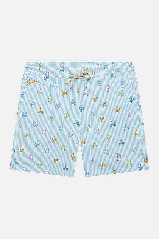 Lighting Micro Stretch Striped Patterned Men's Light Blue Swimsuit
