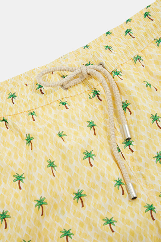Lighting Micro Stretch Palm Print Men's Swim Shorts 3