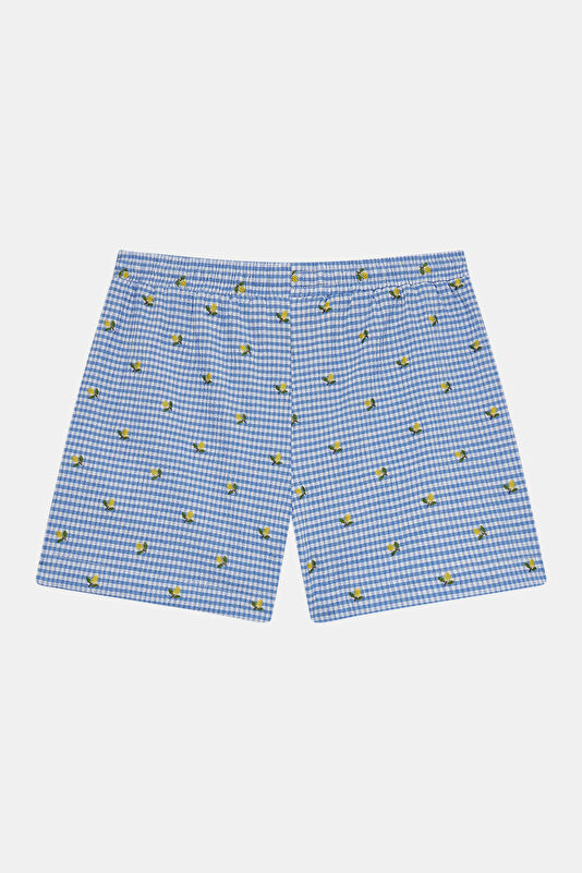 Multicolored Embroidered Kids' Shorts 2