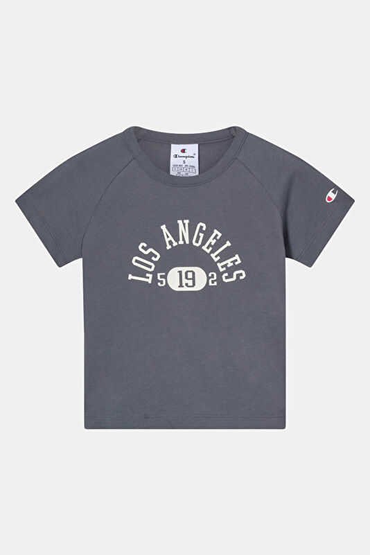 Gray Crew Neck Printed Kids' T-Shirt