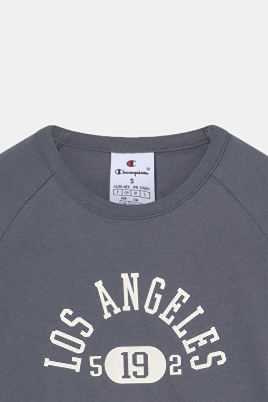 Gray Crew Neck Printed Kids' T-Shirt 2