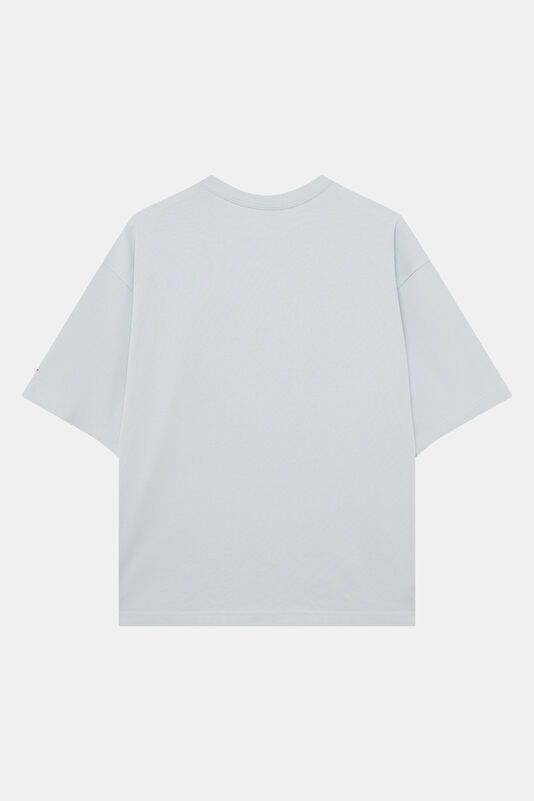 Relax Kalıp Gri Bisiklet Yaka Baskılı Erkek T-Shirt 2