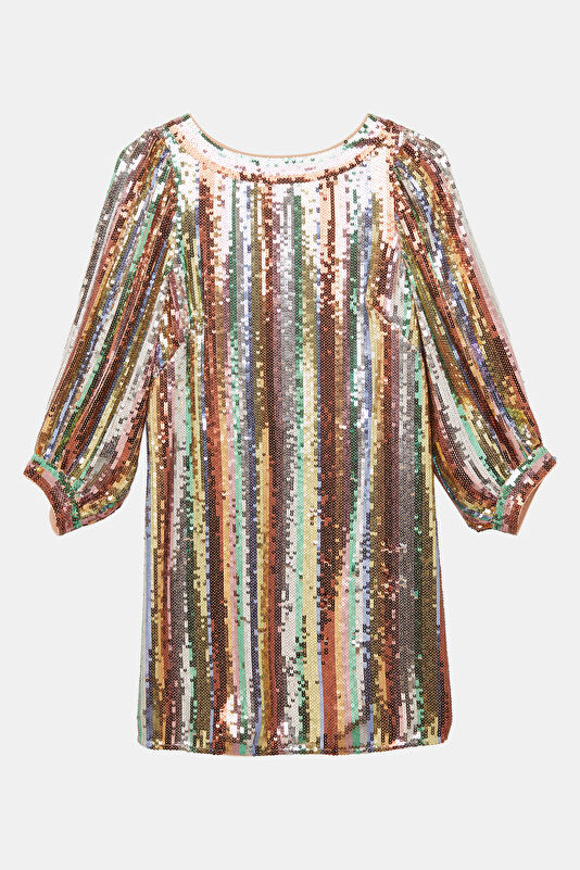 Silver Striped Patterned Women's Dress