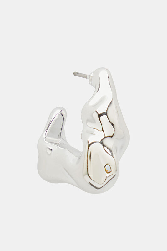 Silver Colored Earrings
