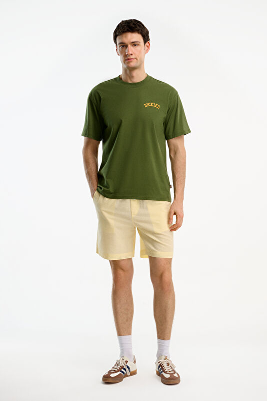 Relax Fit Khaki Crew Neck Printed Men's T-Shirt 3