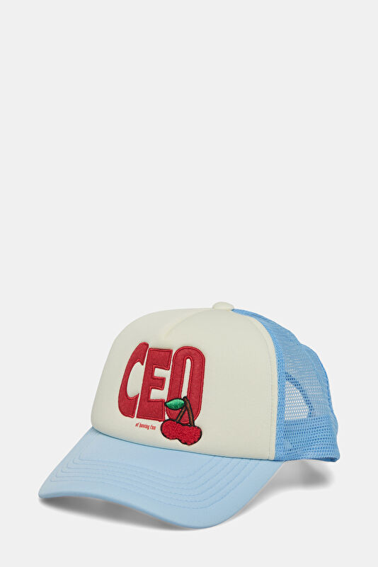 Light Blue Embroidered Hat
