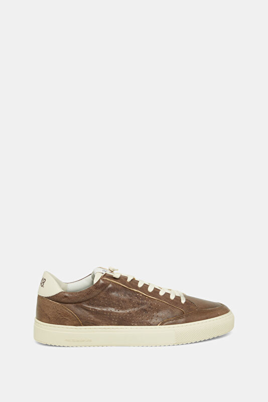 Soho2 Brown Men's Sneakers