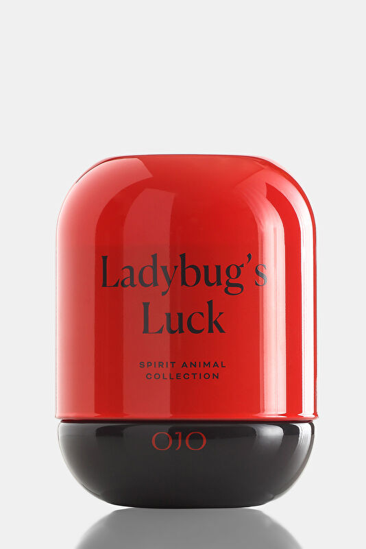 Spirit Animal Ladybug's Luck