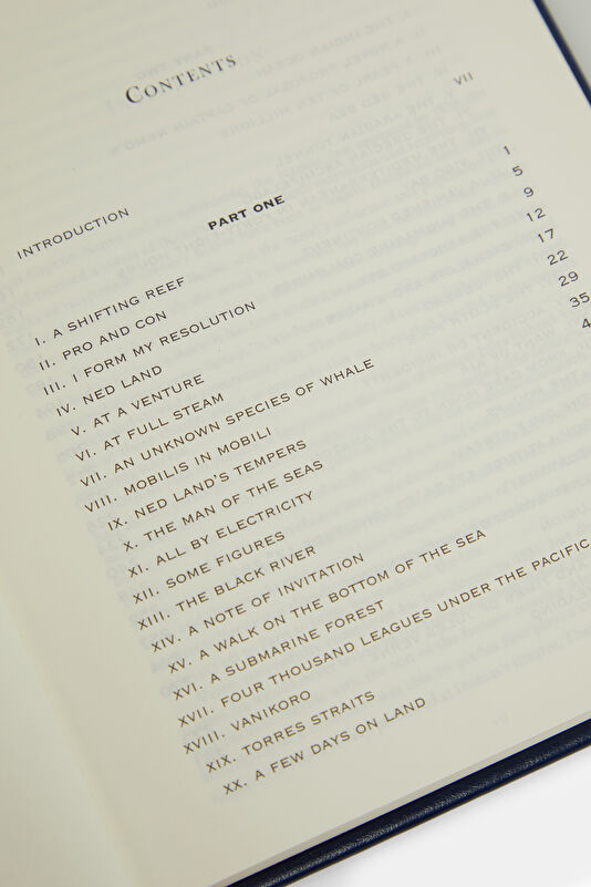 Twenty Thousand Leagues Under the Sea 4