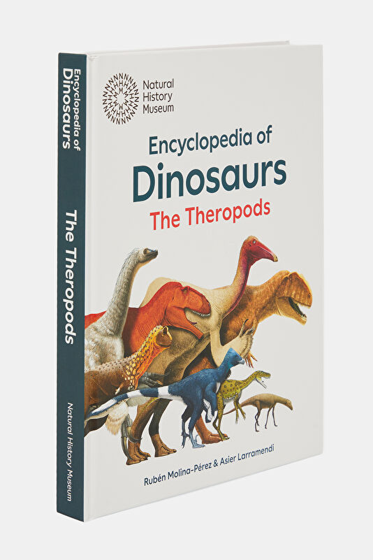 The Encyclopaedia of Dinosaurs 2