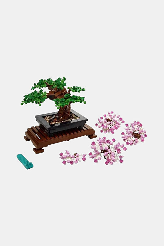 Bonsai Ağacı LAD10281
