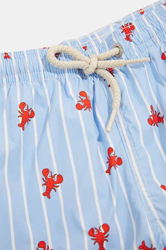 Light Blue Patterned Children's Shorts 3