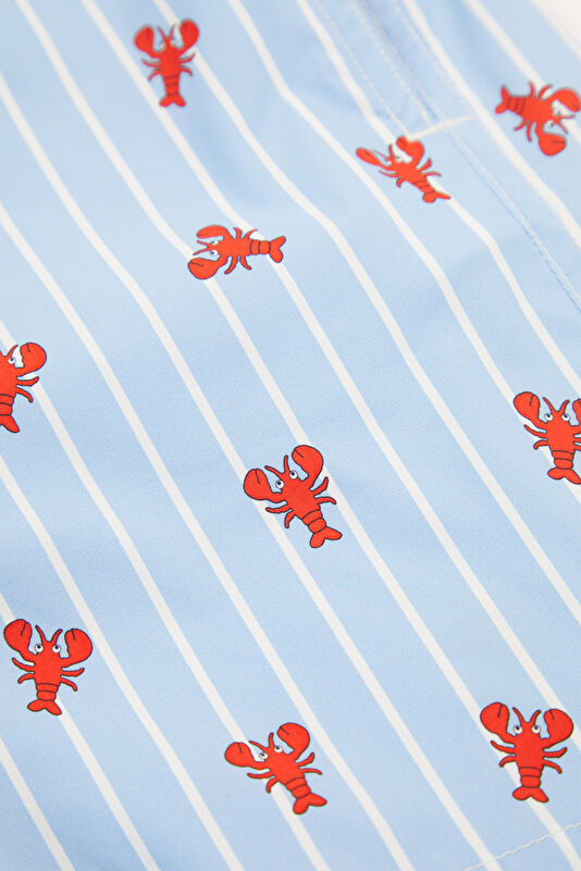 Light Blue Patterned Children's Shorts 4
