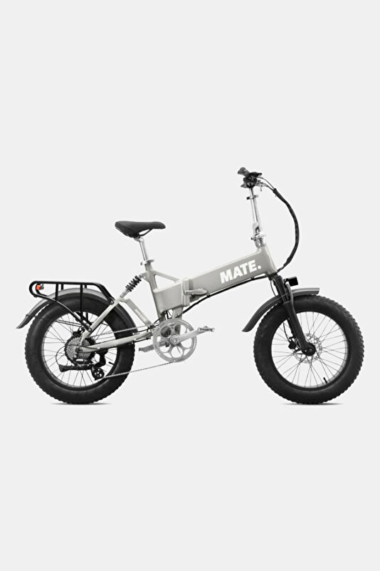 Mate X Evo Silver Electric Bike