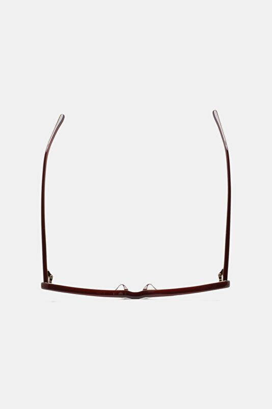COBB Brown Sunglasses 53 3