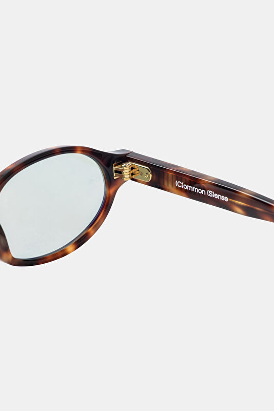CS035 Brown Sunglasses 48 3