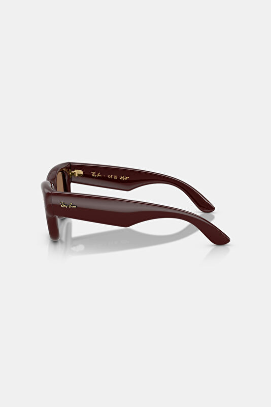 0RB4940 Asap Rocky Wayfarer Dark Brown Sunglasses 50 4