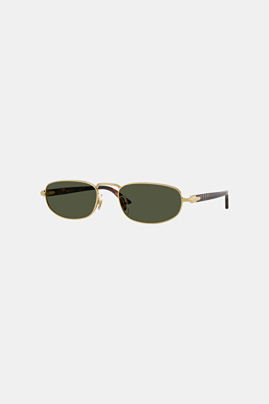 0PO1028S Gold Sunglasses 56