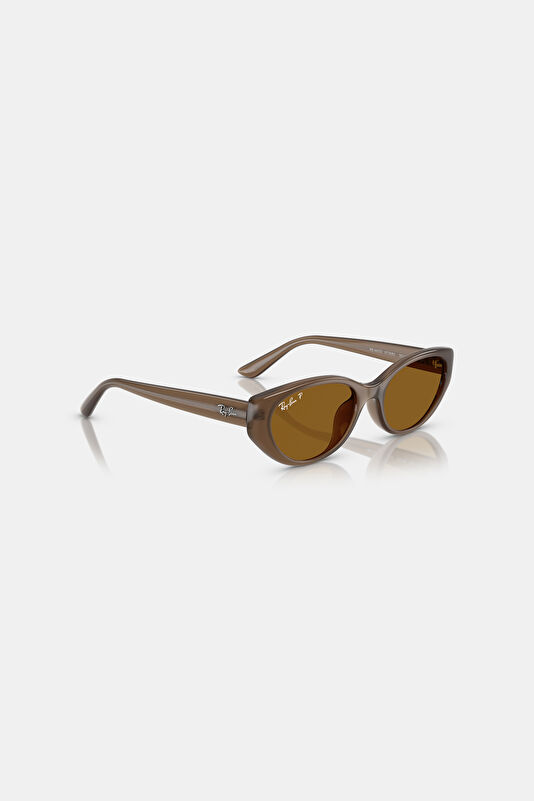 0RB4457D Light Brown Sunglasses 55 4