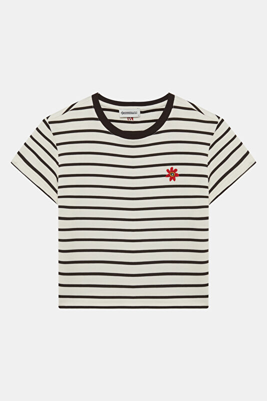 Brown Crew Neck Striped Women's T-Shirt