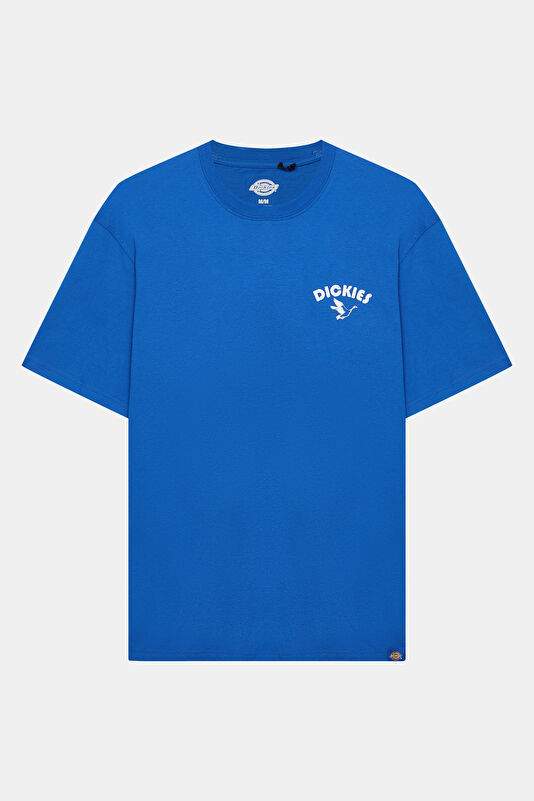 Mavi Erkek T-Shirt