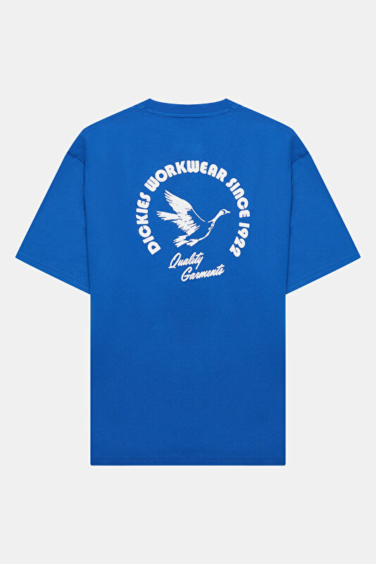 Mavi Erkek T-Shirt 2