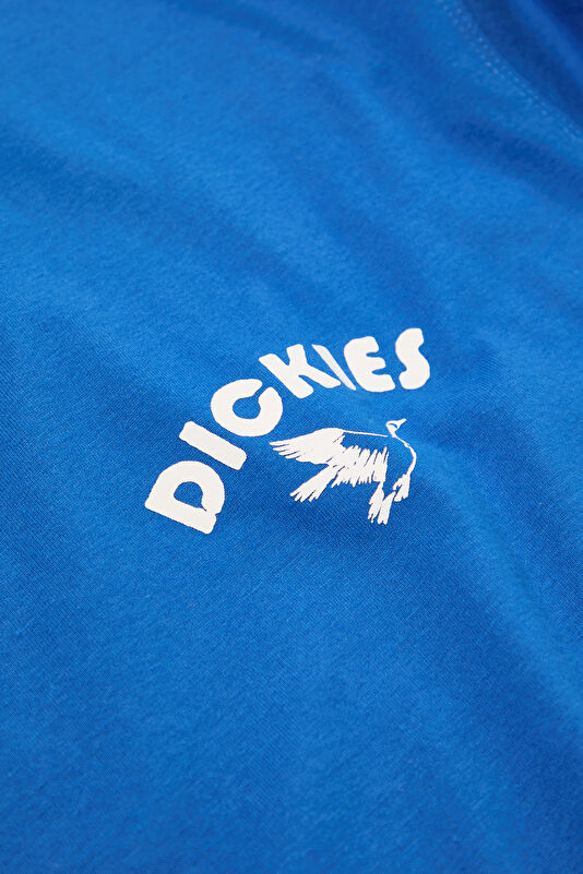 Mavi Erkek T-Shirt 4