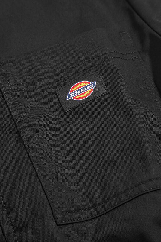Black Women's Shorts 4