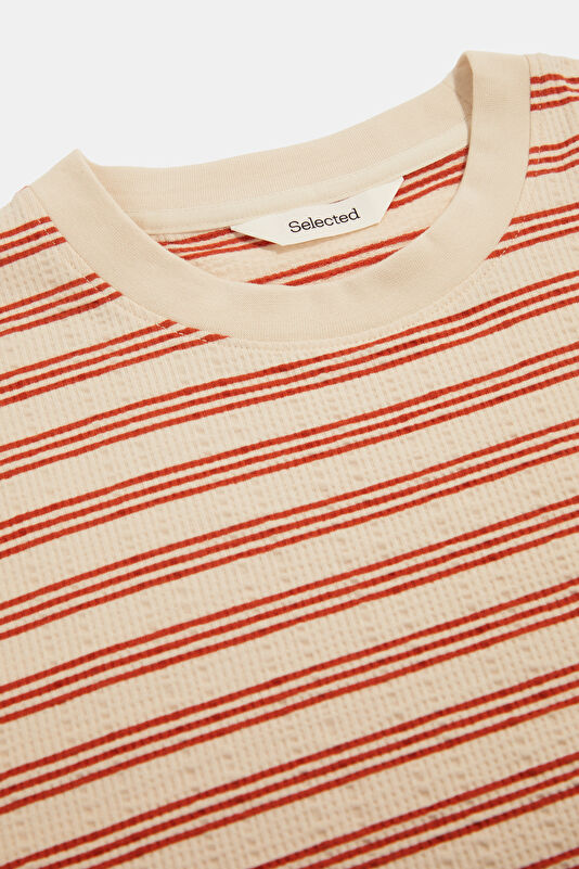 Rust Men's Crew Neck Striped T-Shirt 3